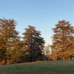 les-logis-de-bellevue-maisons-d-hote-logement-vacance-périgord-brantome-dordogne-holiday-jardin-vue